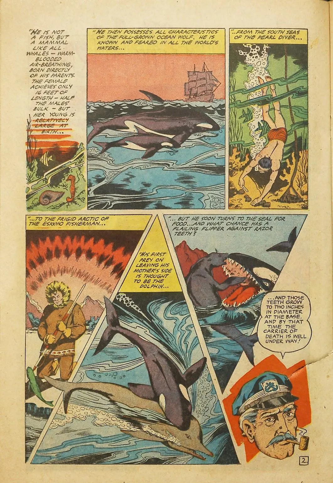 Rangers Comics #66 part 22