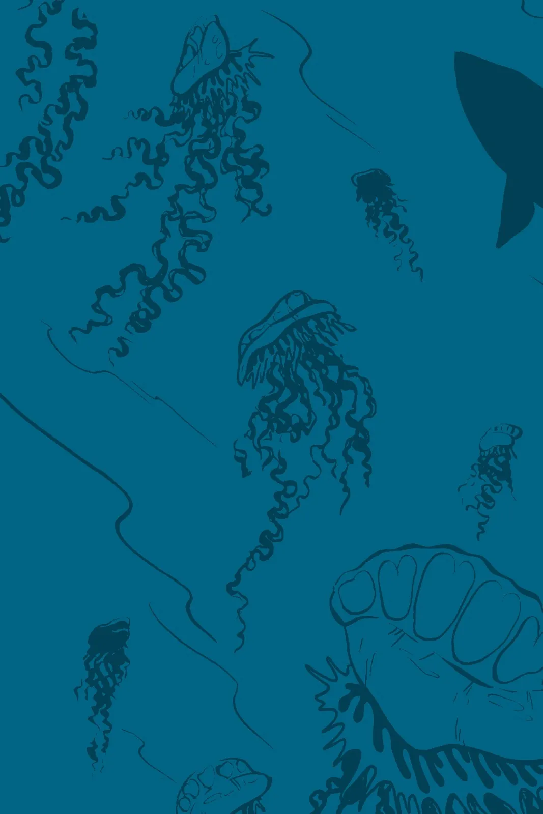 Xoc: Journey of a Great White  part 2