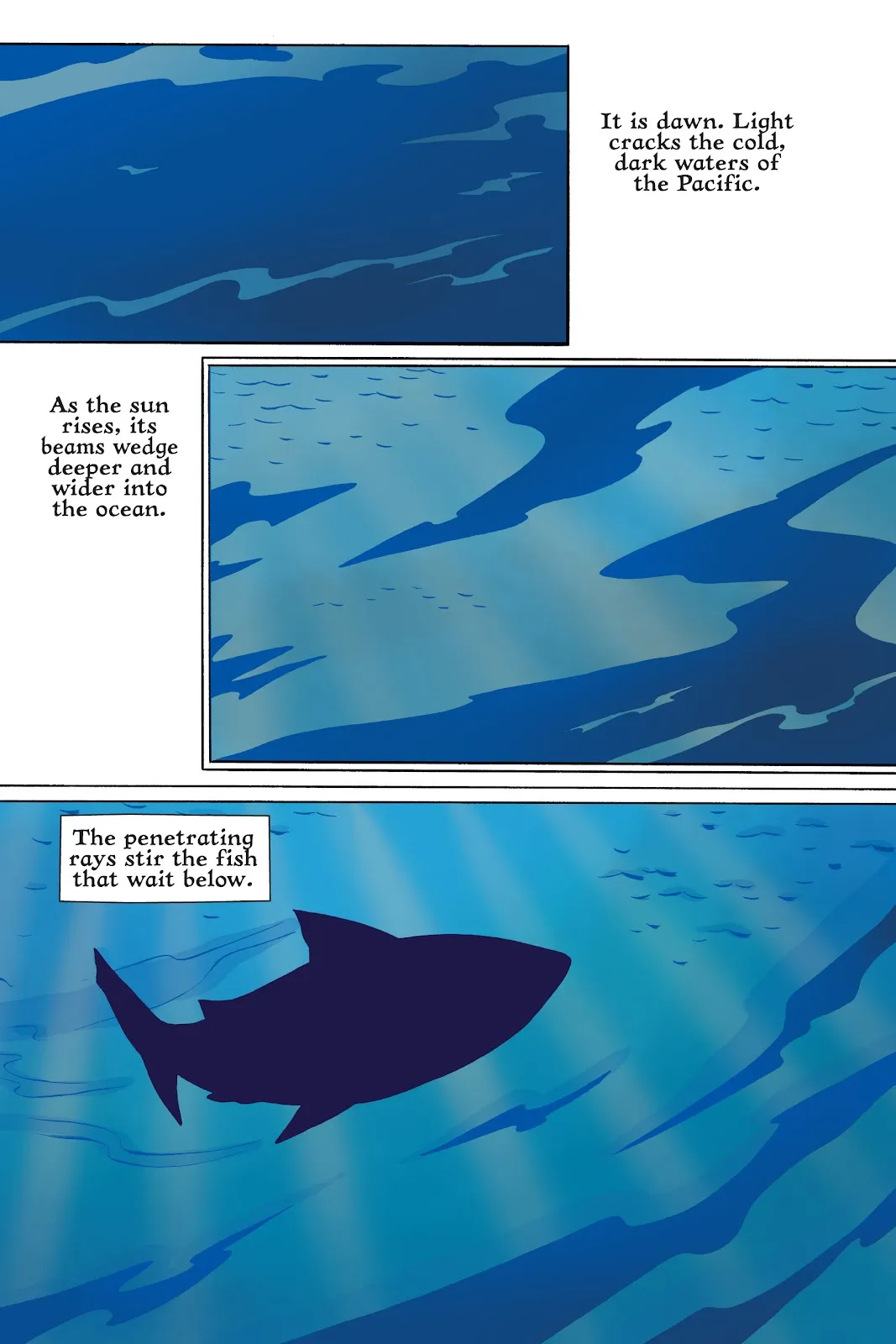 Xoc: Journey of a Great White  part 11