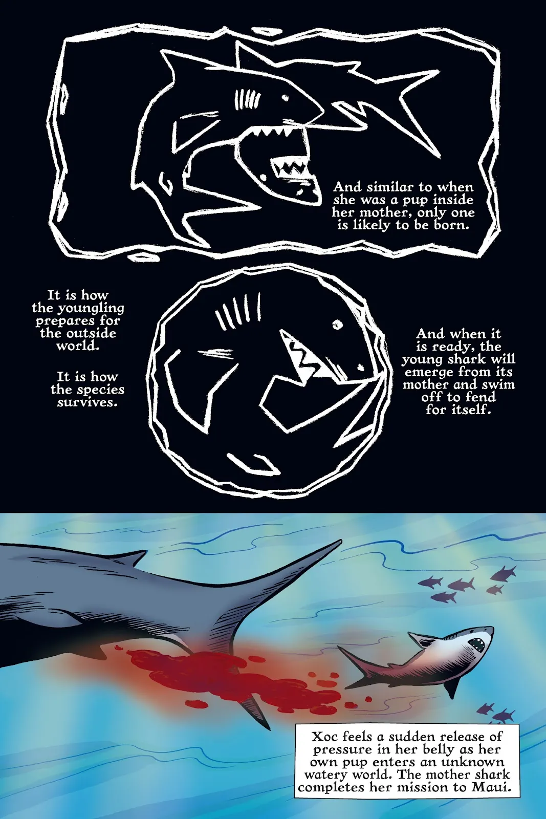 Xoc: Journey of a Great White  part 101