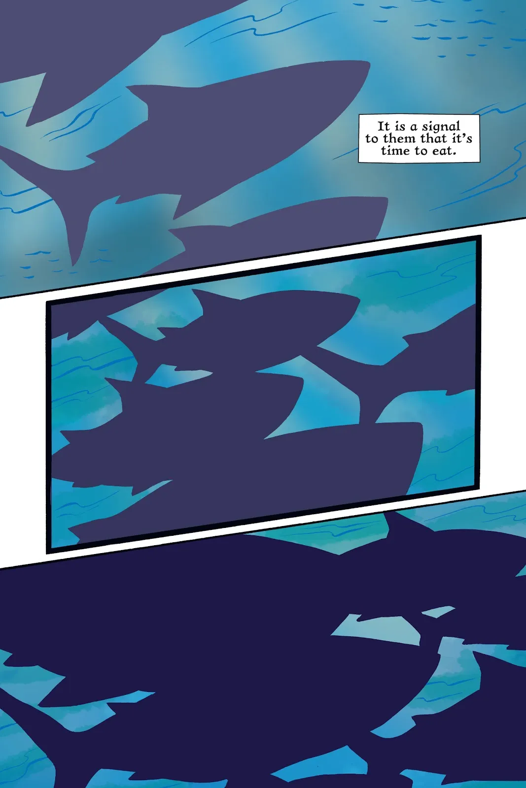 Xoc: Journey of a Great White  part 12