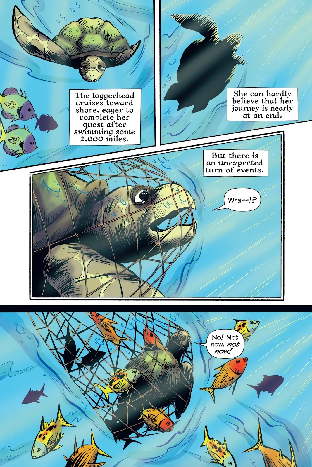 Xoc: Journey of a Great White  part 111