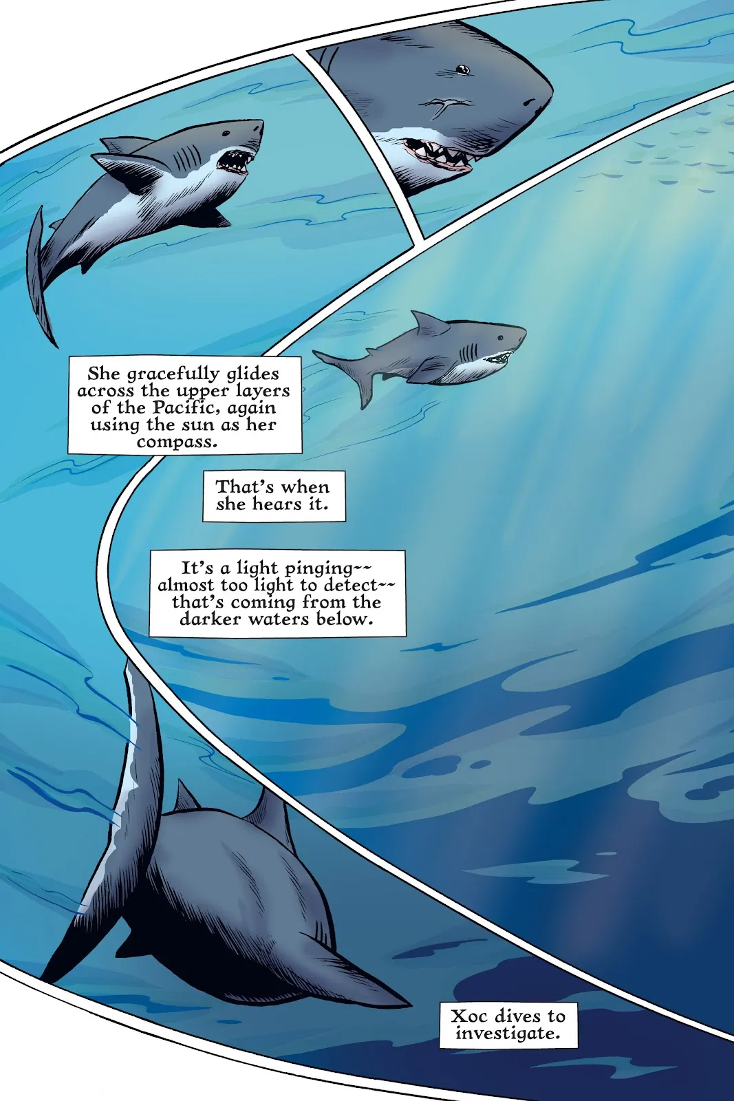 Xoc: Journey of a Great White  part 114