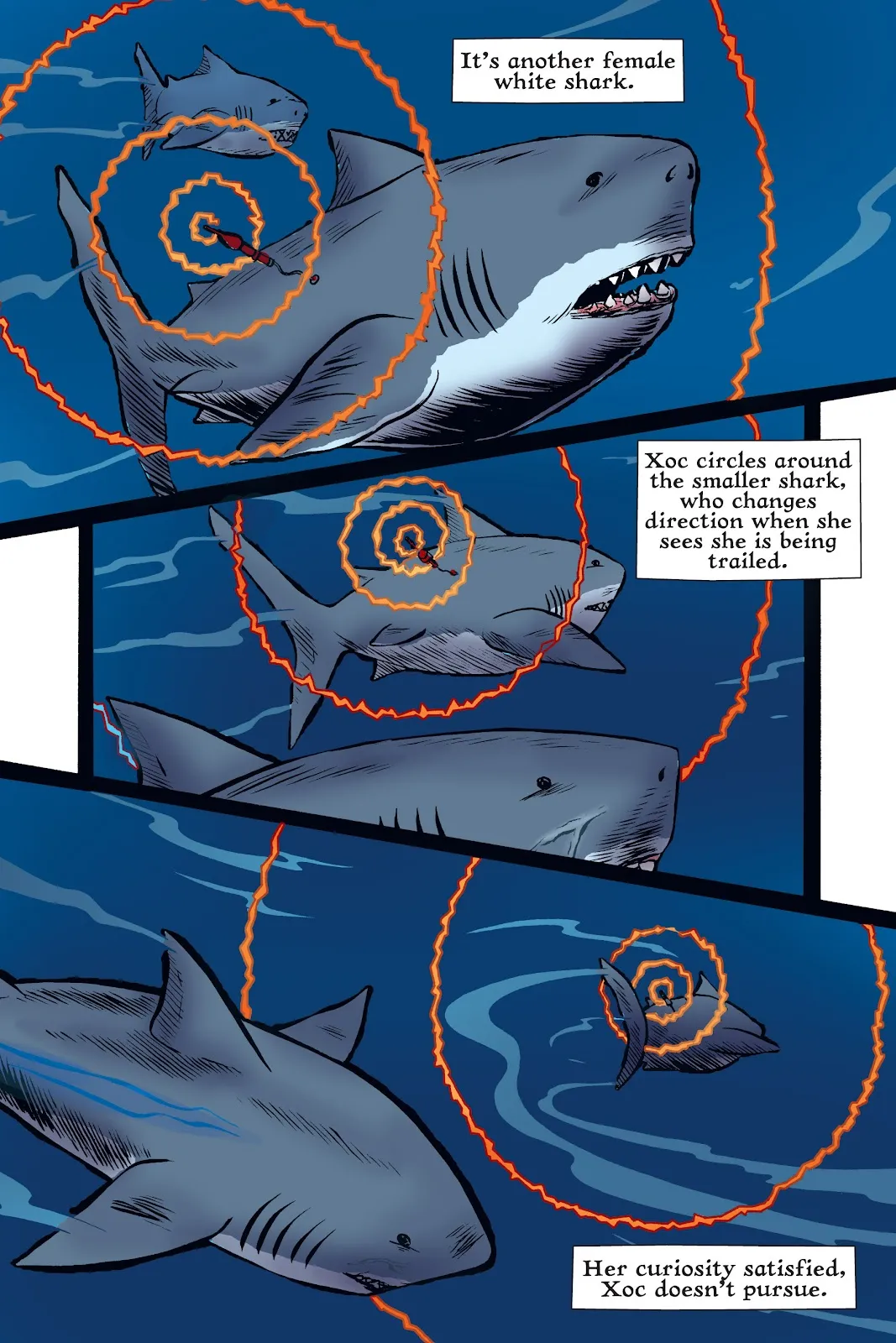 Xoc: Journey of a Great White  part 116