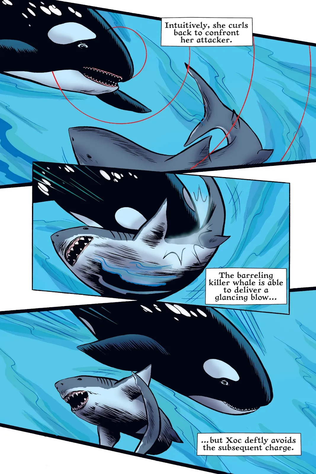 Xoc: Journey of a Great White  part 118