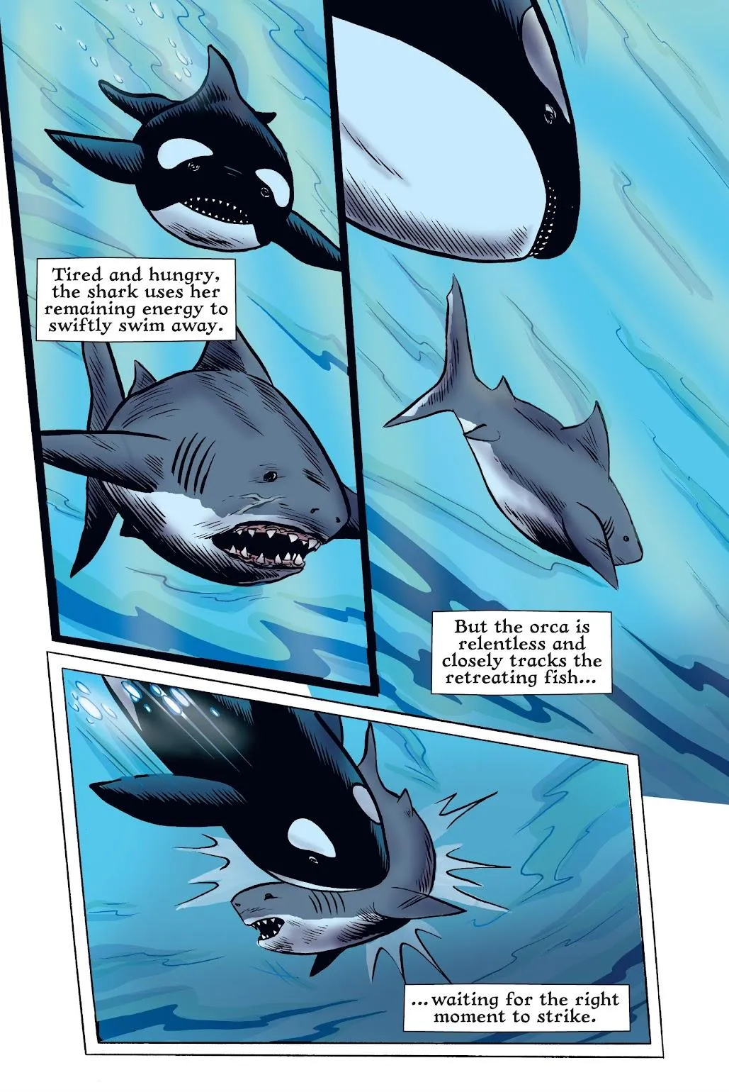 Xoc: Journey of a Great White  part 119