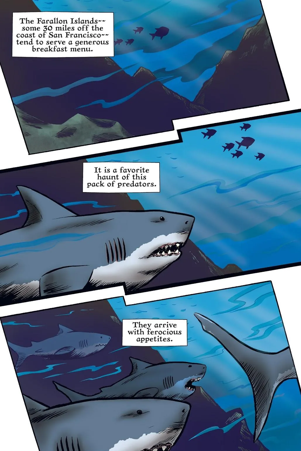 Xoc: Journey of a Great White  part 13