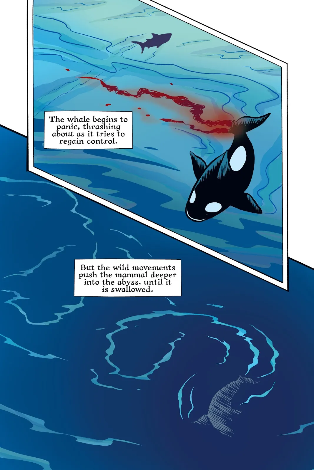 Xoc: Journey of a Great White  part 122