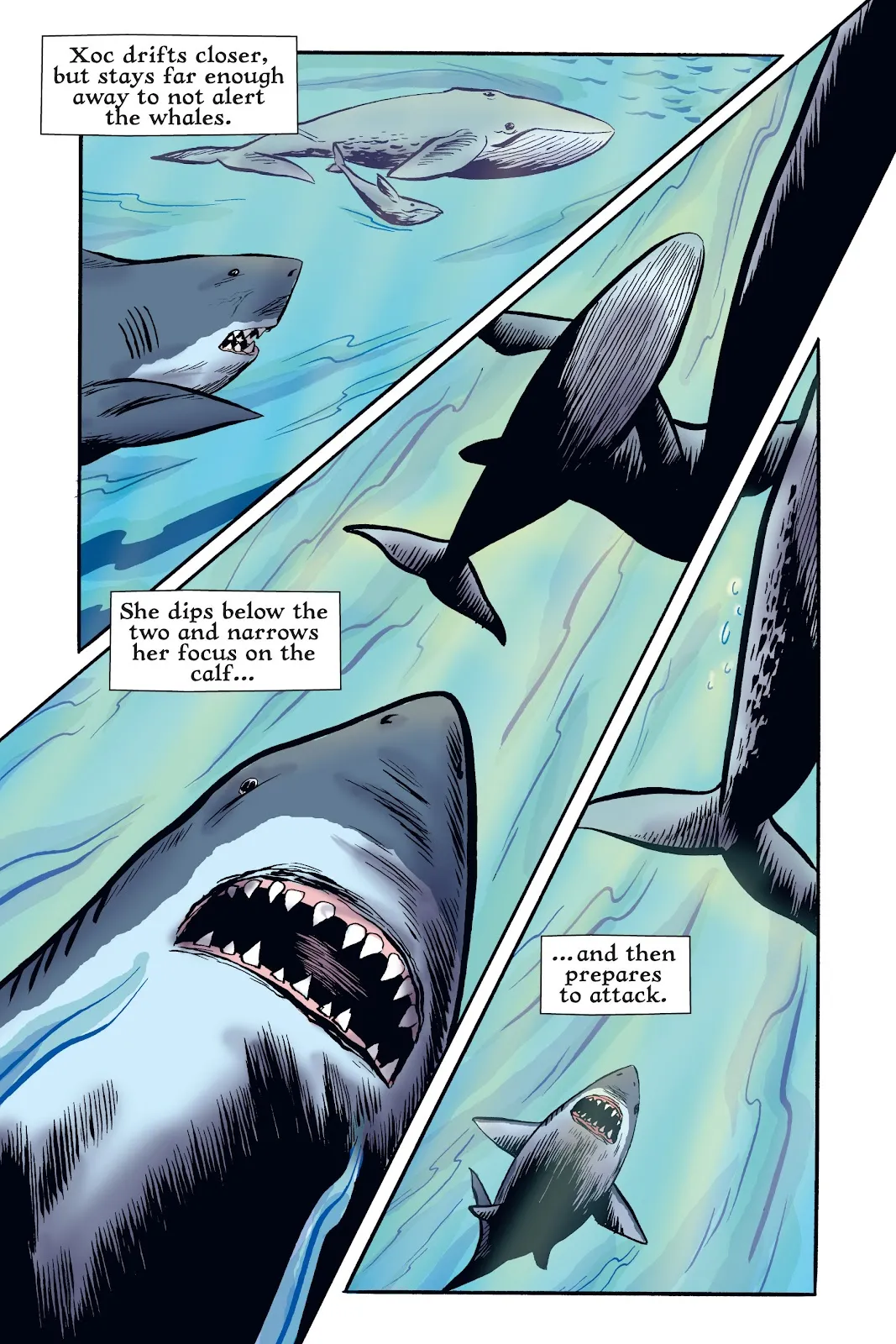 Xoc: Journey of a Great White  part 125