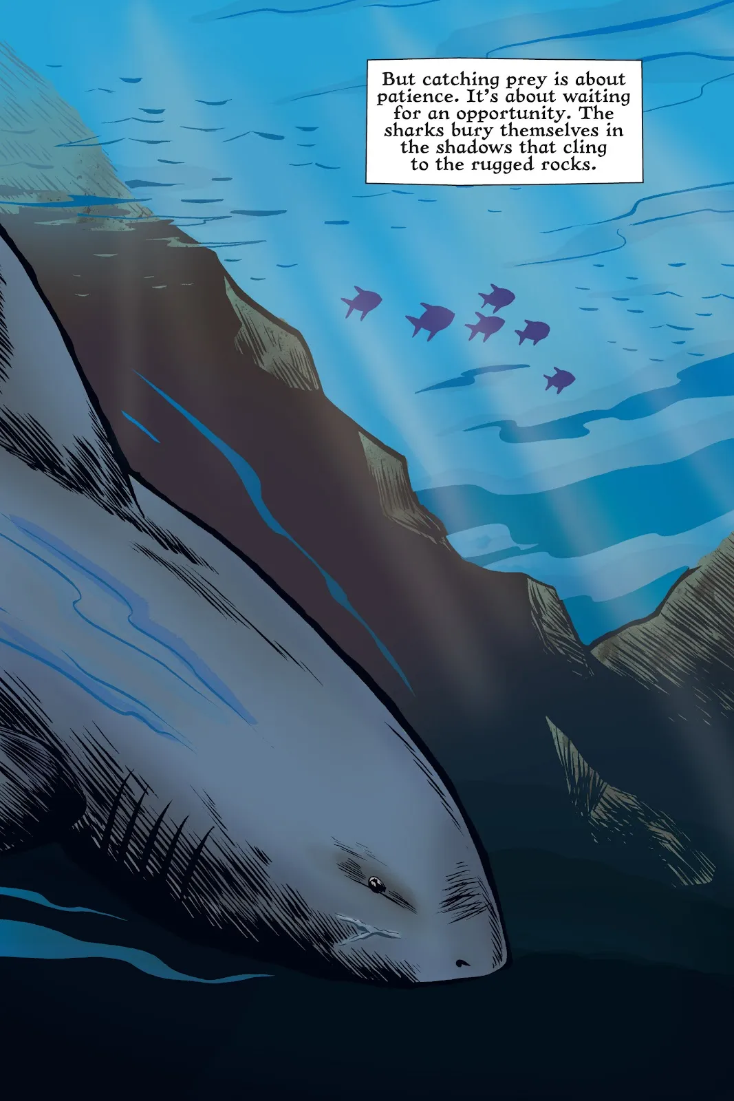 Xoc: Journey of a Great White  part 14