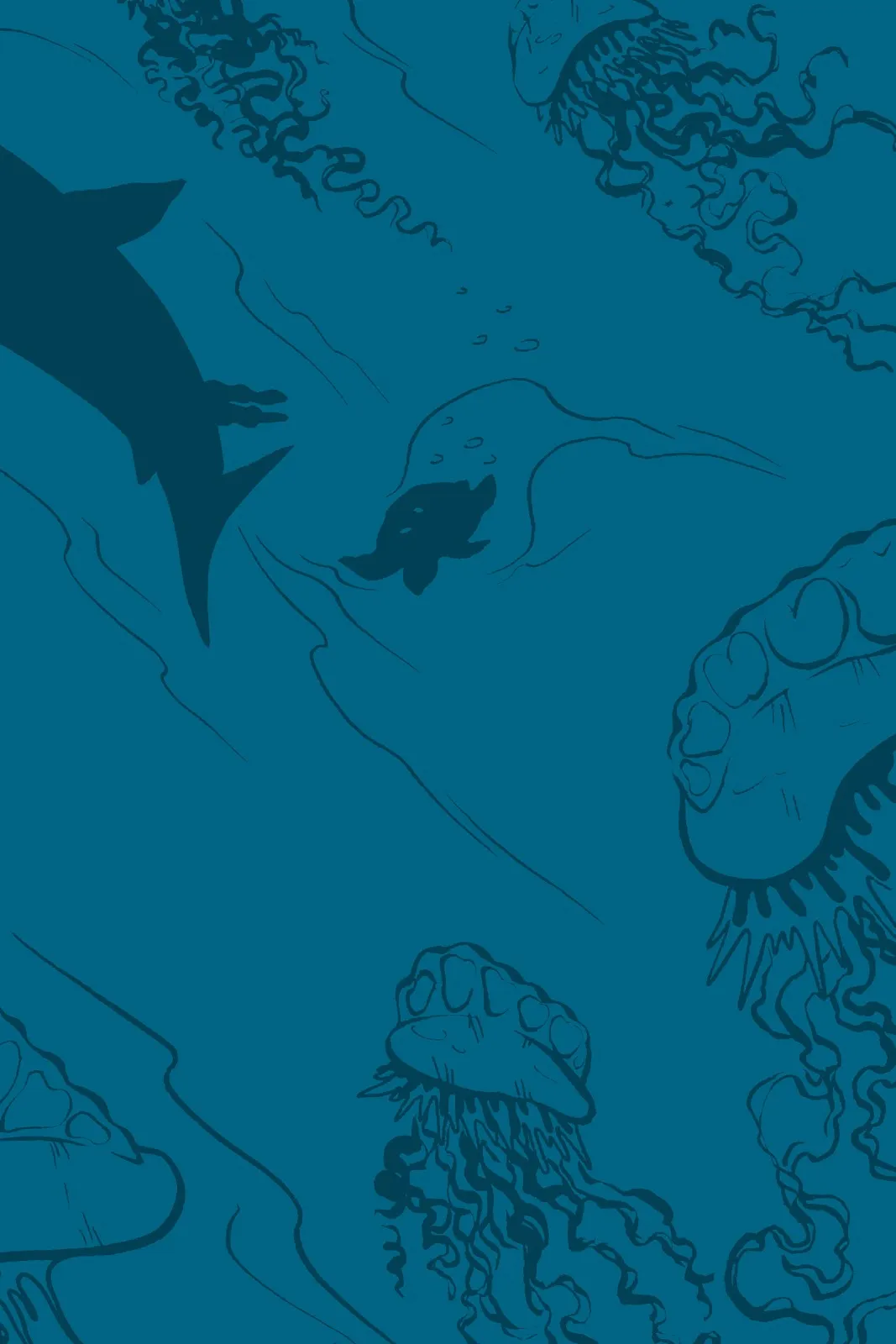 Xoc: Journey of a Great White  part 3