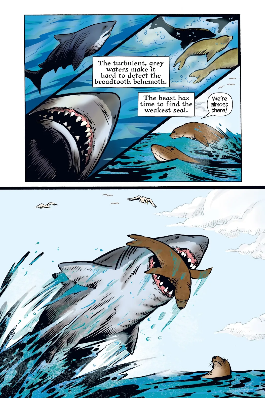 Xoc: Journey of a Great White  part 21