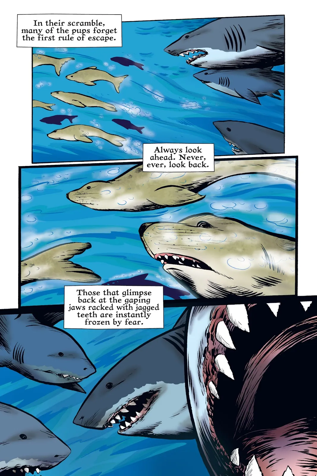 Xoc: Journey of a Great White  part 23