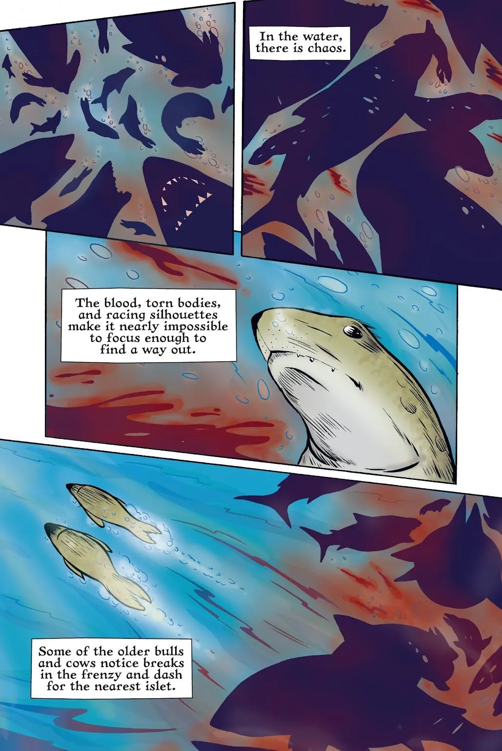 Xoc: Journey of a Great White  part 25