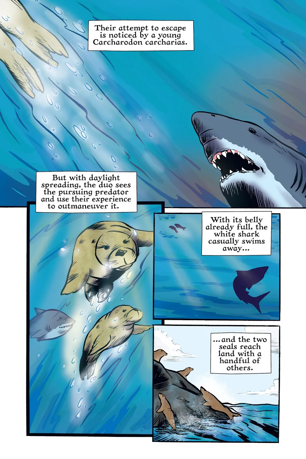 Xoc: Journey of a Great White  part 26