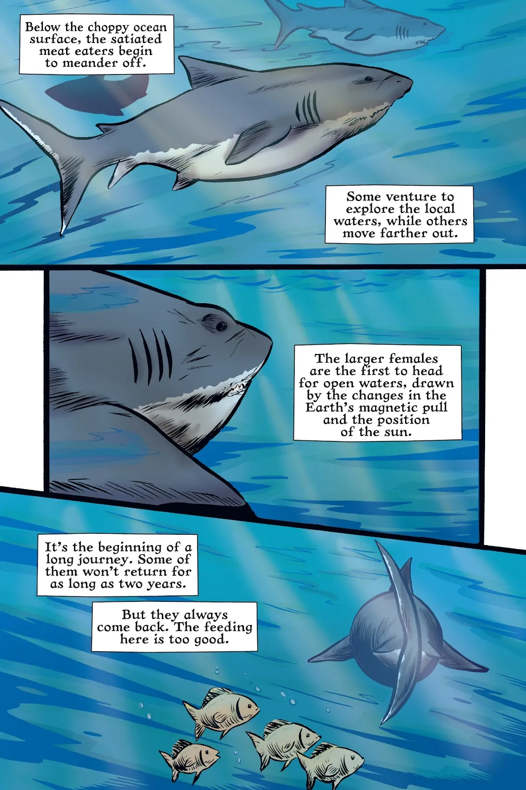 Xoc: Journey of a Great White  part 28