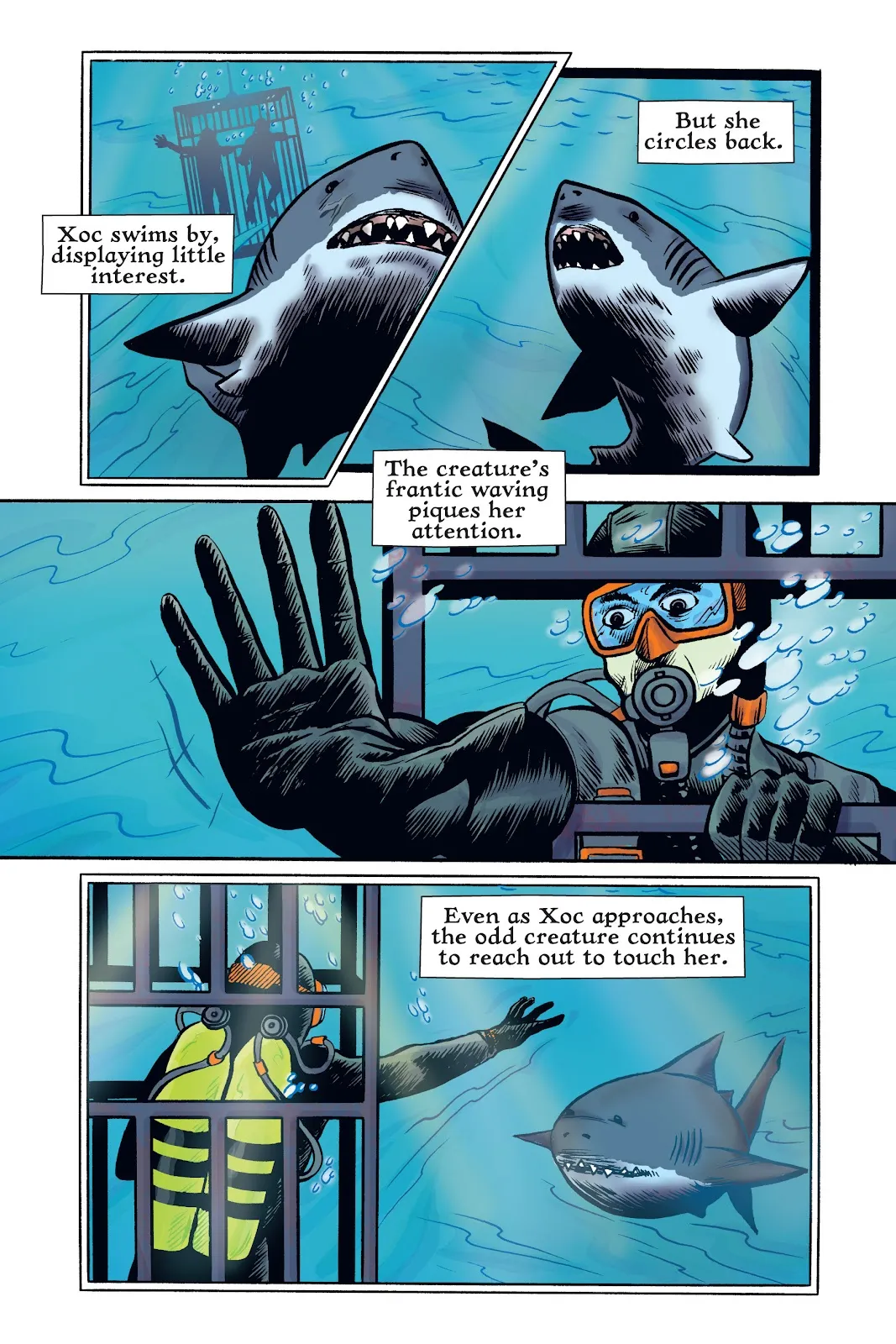 Xoc: Journey of a Great White  part 31