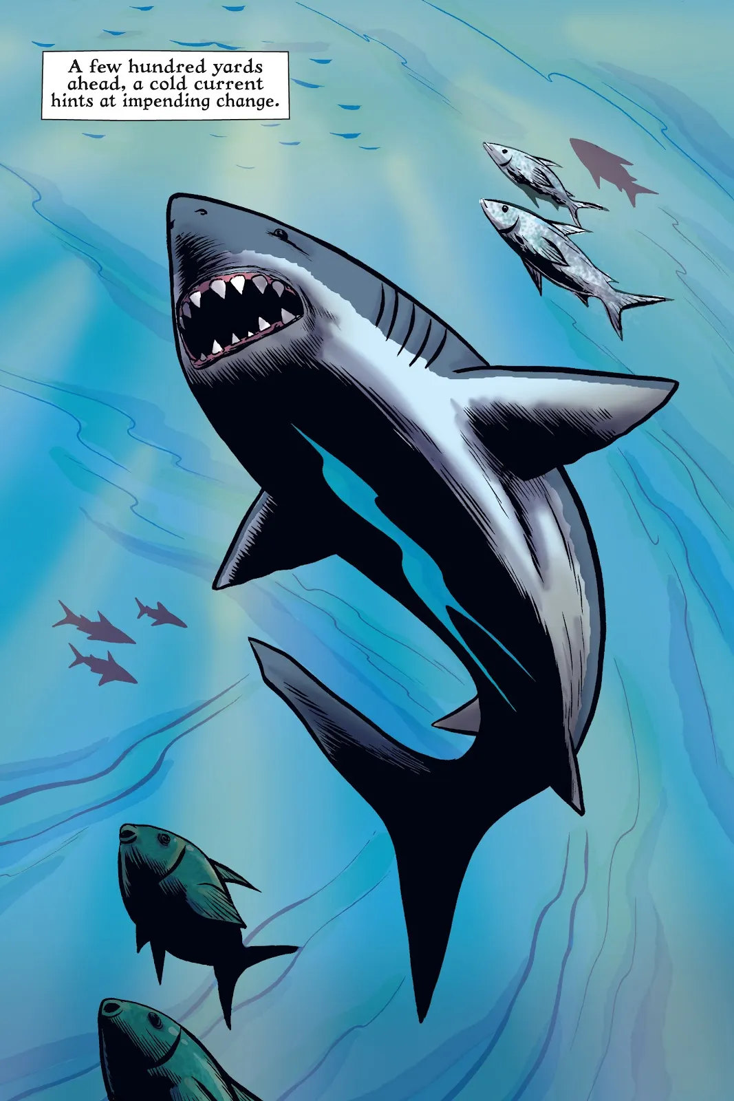 Xoc: Journey of a Great White  part 34