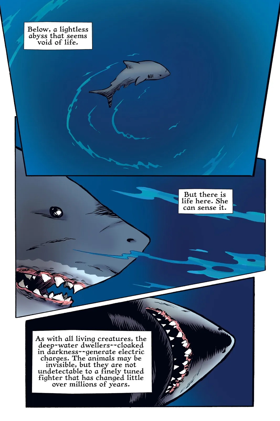Xoc: Journey of a Great White  part 36
