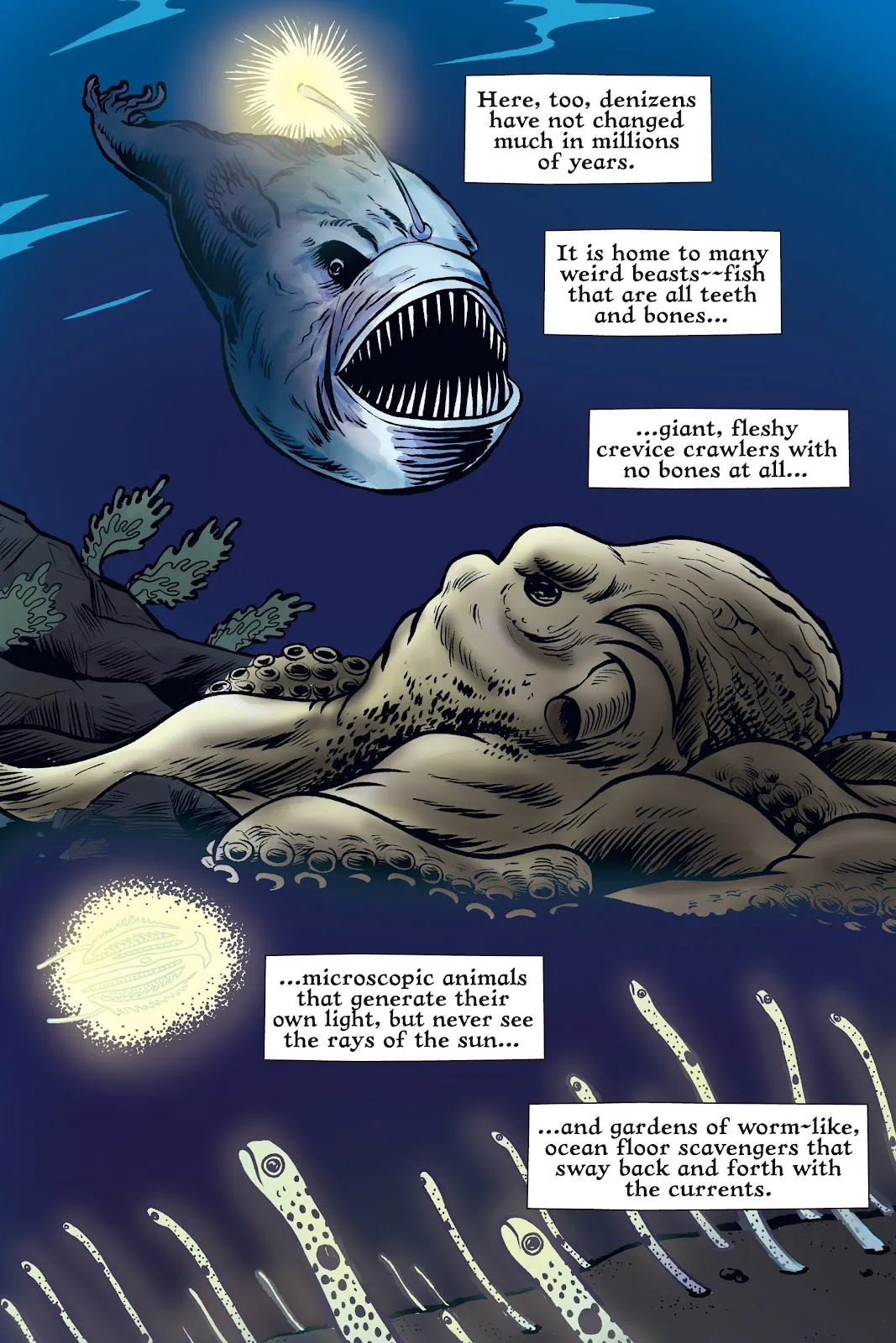 Xoc: Journey of a Great White  part 37