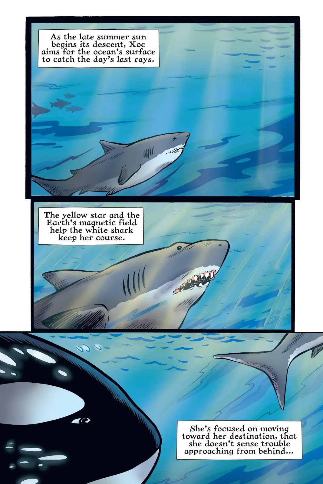 Xoc: Journey of a Great White  part 41