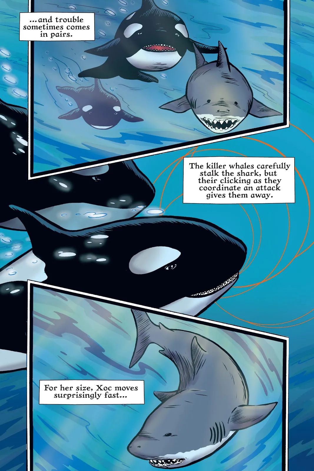 Xoc: Journey of a Great White  part 42