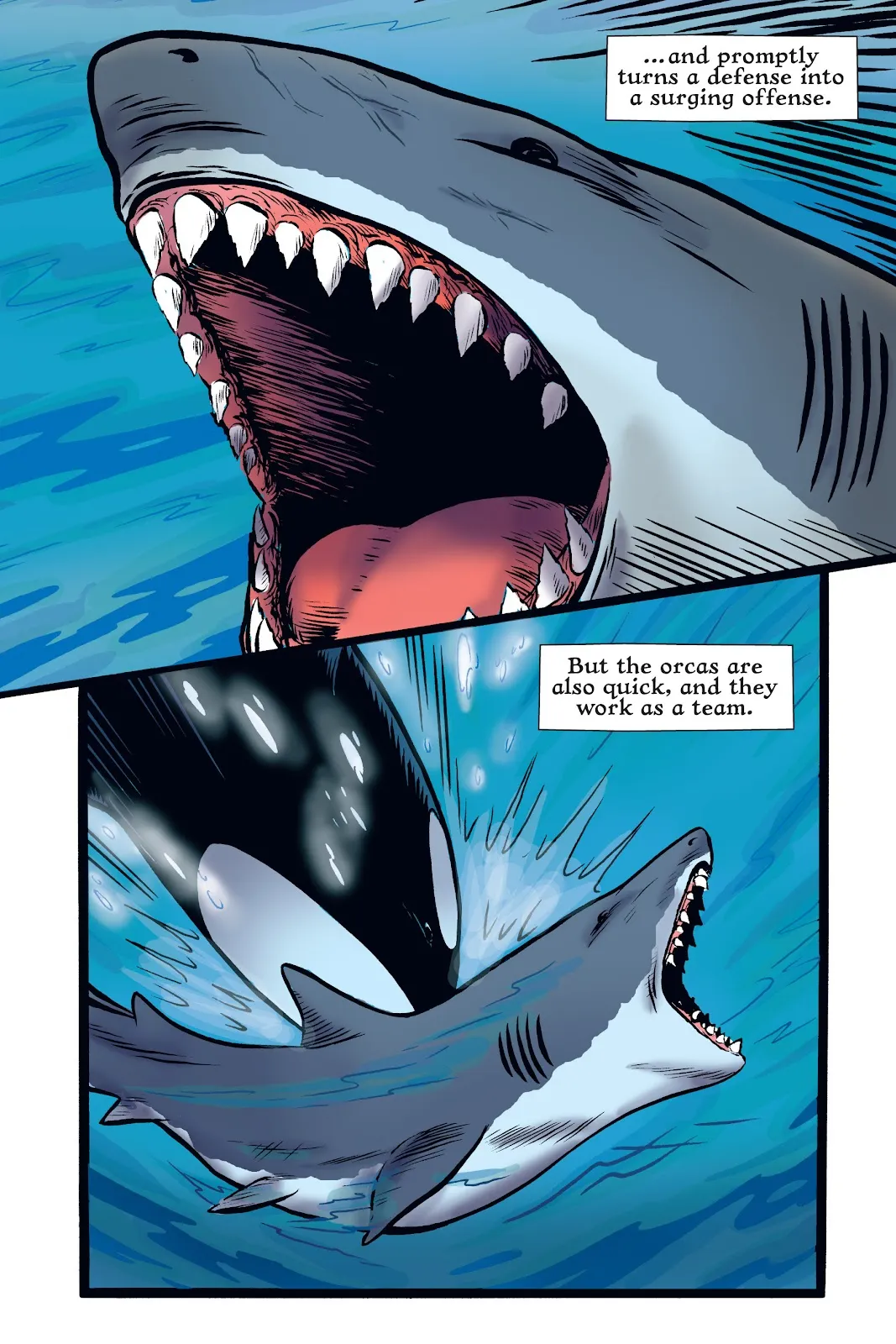 Xoc: Journey of a Great White  part 43