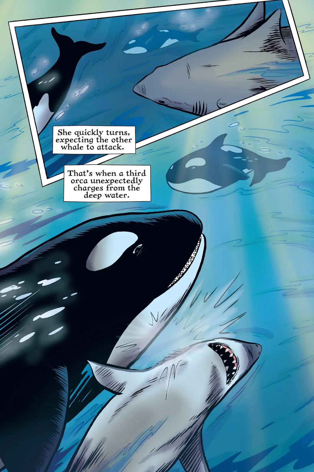 Xoc: Journey of a Great White  part 44