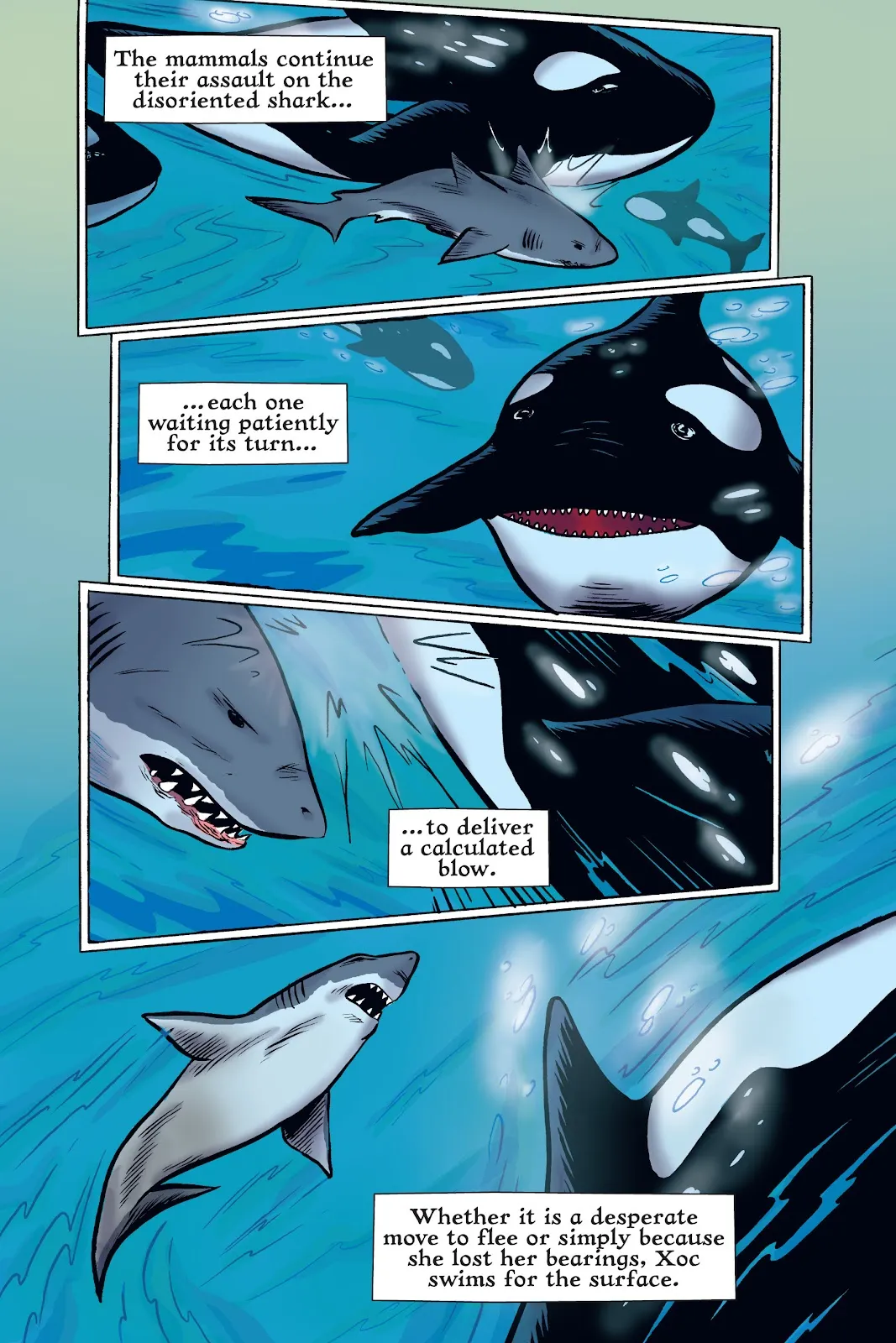 Xoc: Journey of a Great White  part 45