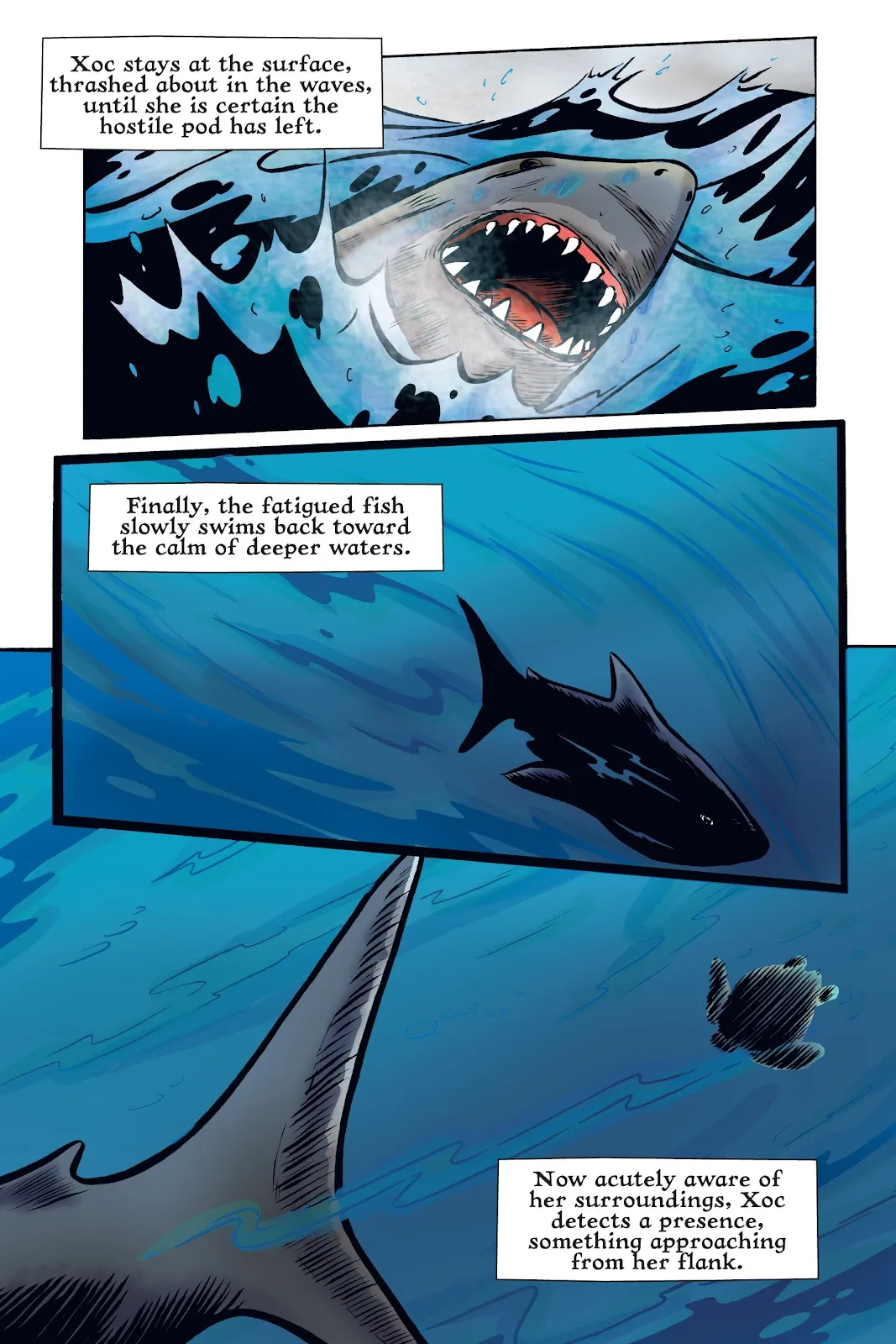Xoc: Journey of a Great White  part 47