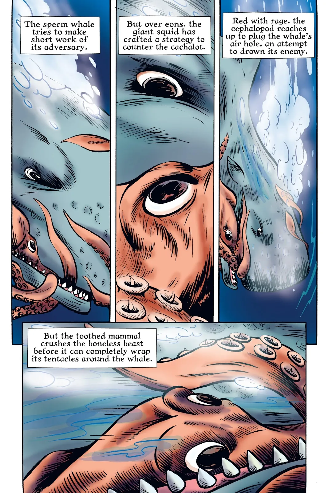 Xoc: Journey of a Great White  part 52