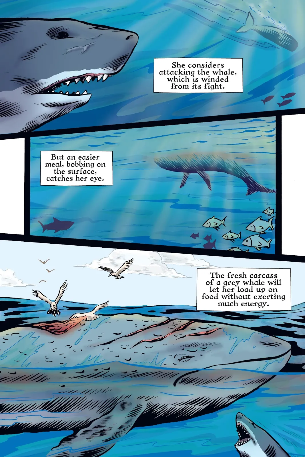 Xoc: Journey of a Great White  part 54