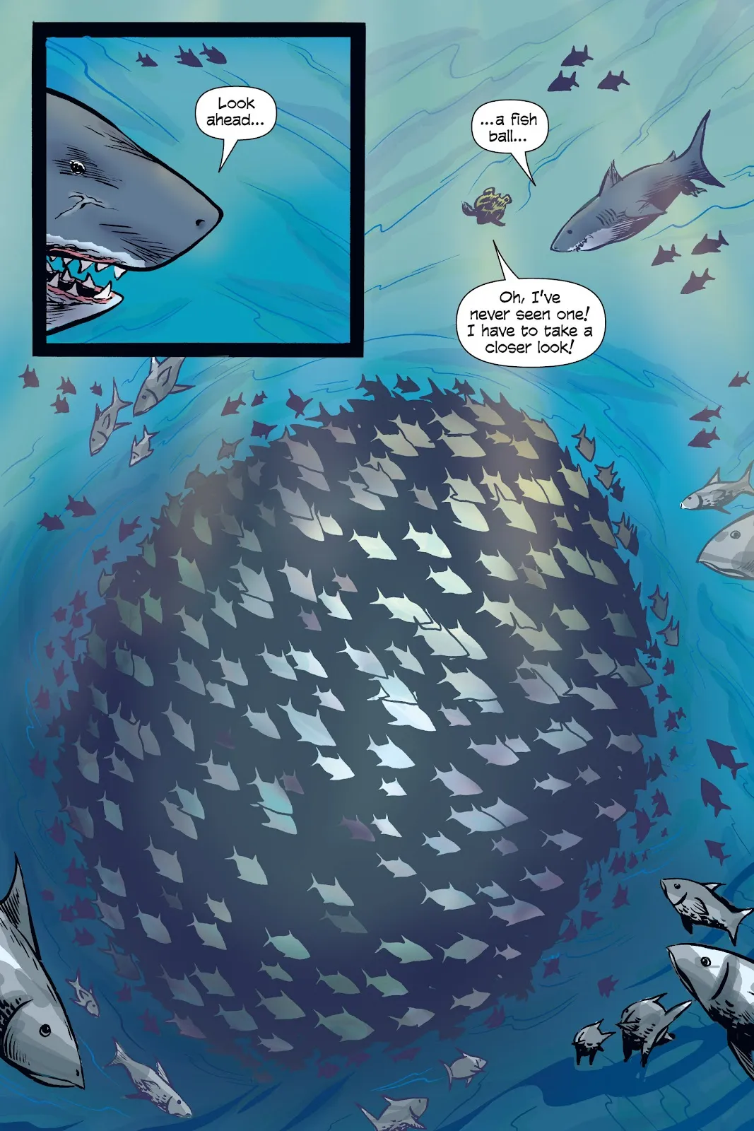 Xoc: Journey of a Great White  part 84
