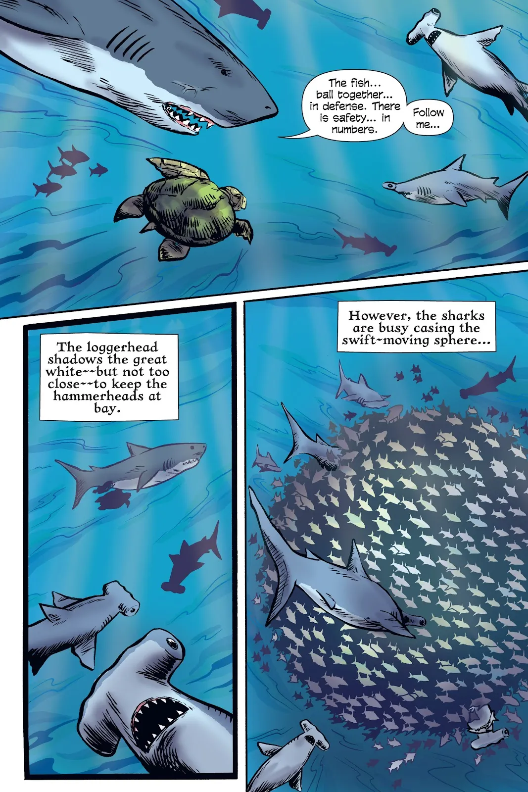 Xoc: Journey of a Great White  part 86