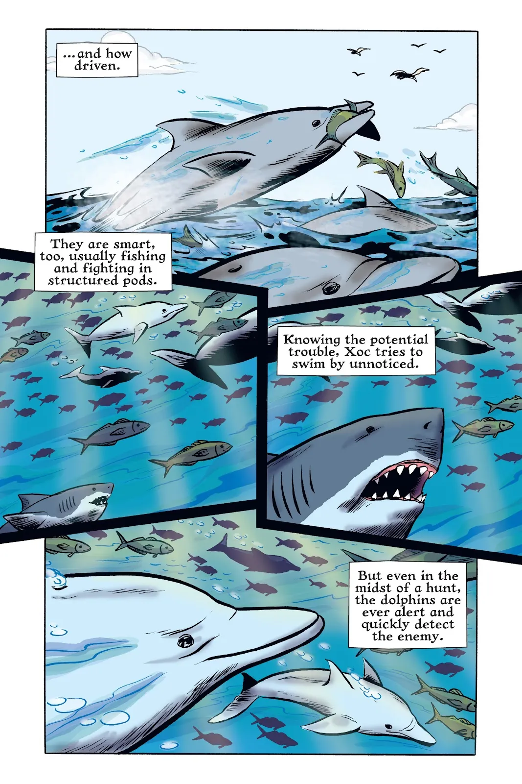 Xoc: Journey of a Great White  part 94