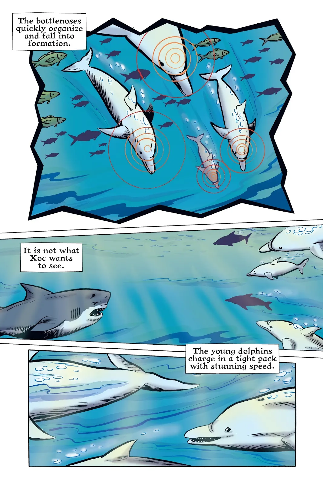 Xoc: Journey of a Great White  part 95