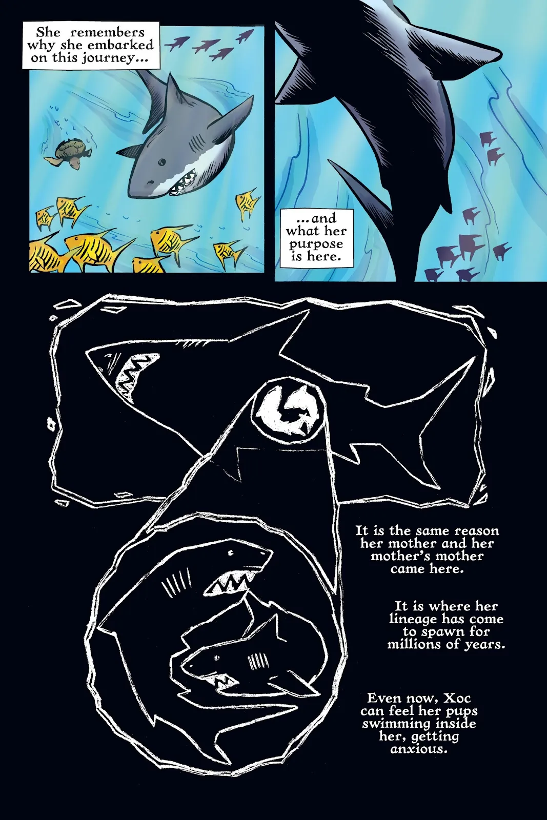 Xoc: Journey of a Great White  part 99