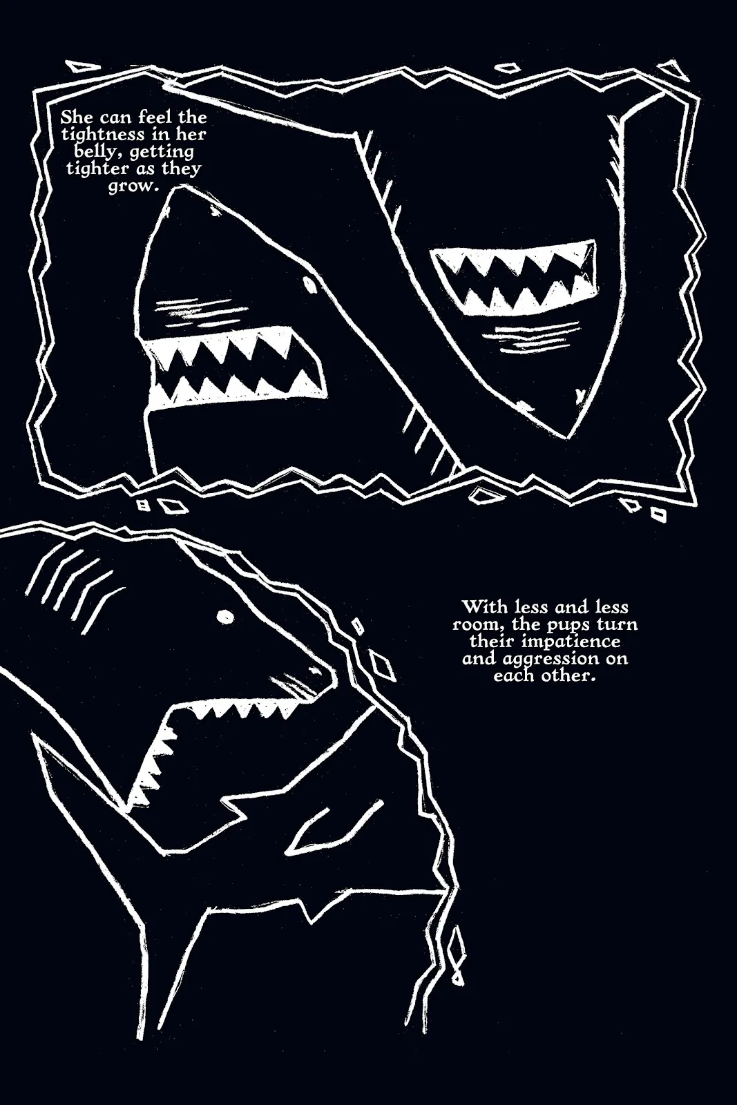 Xoc: Journey of a Great White  part 100